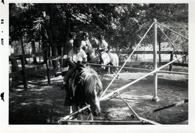 Springs Park