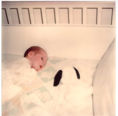 Heather 5 days old.
