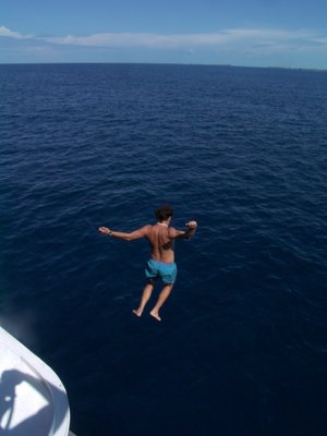Sea Fever Bahamas