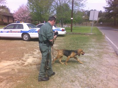 You would never know how out of shape you were until you ran with bloodhounds!